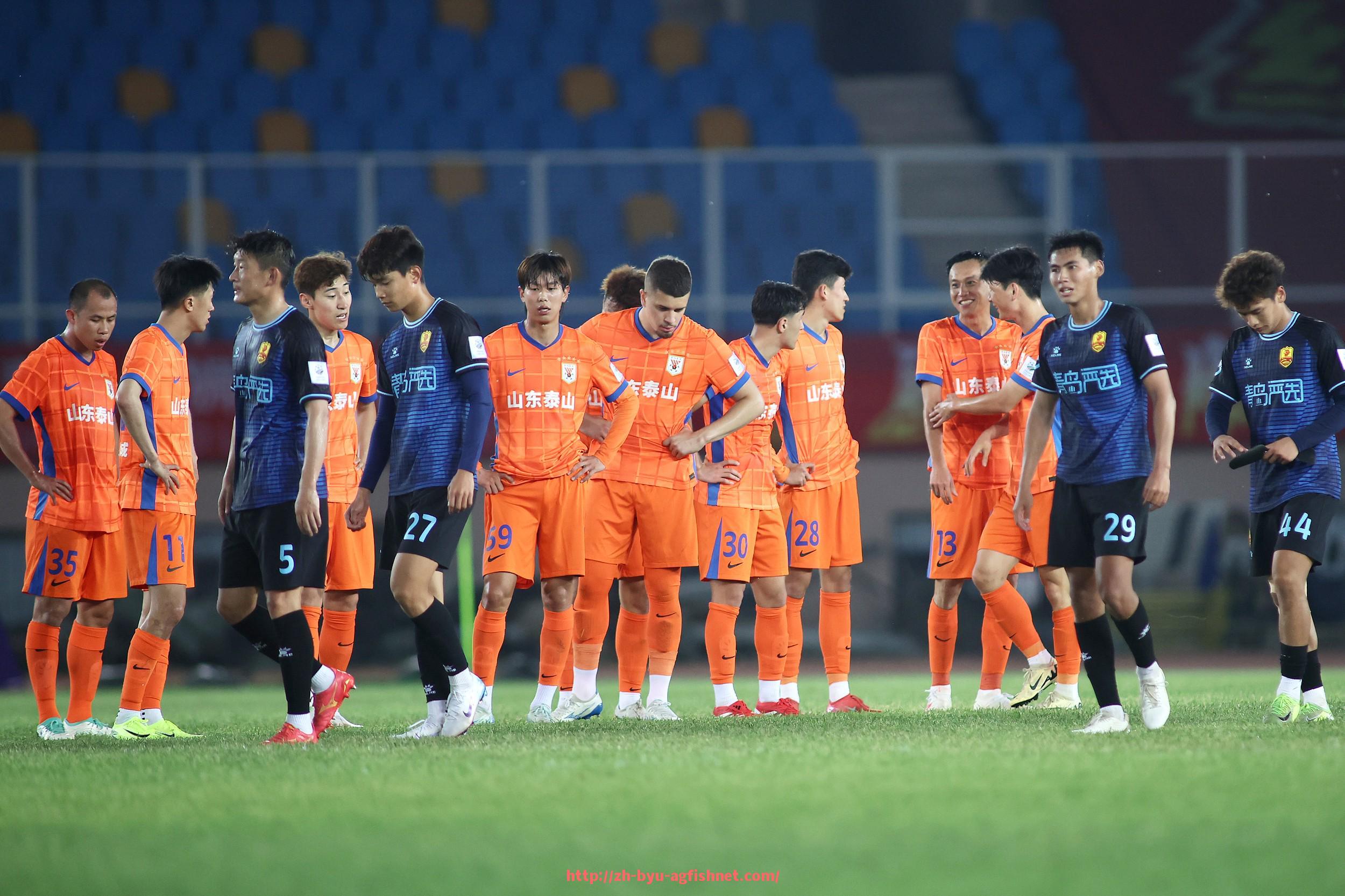 AG捕鱼王官网-意甲与德甲球队之间的整体风格与对比分析