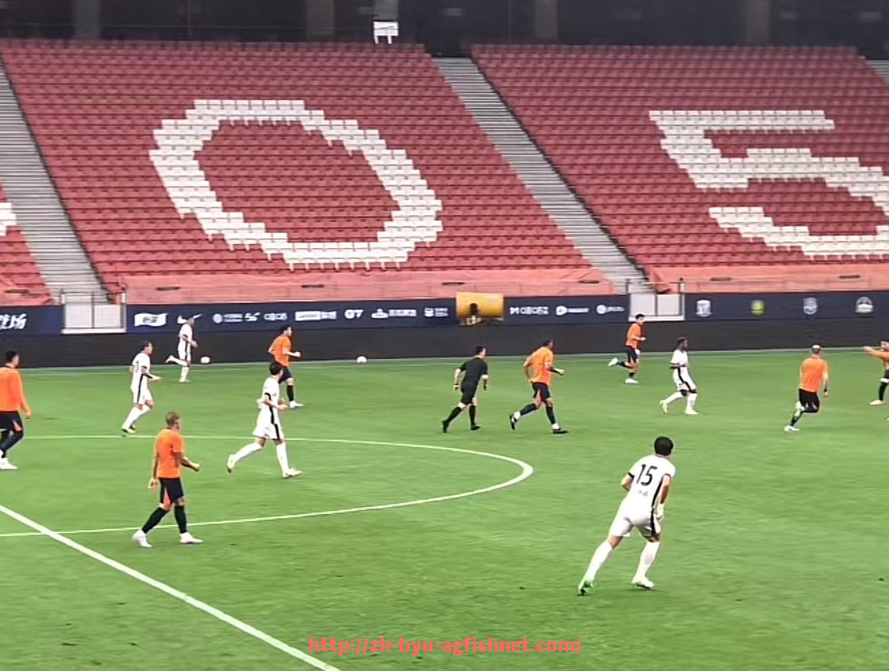 AG捕鱼王官网-法甲赛季各阶段表现分析：开局、关键战与收官之战