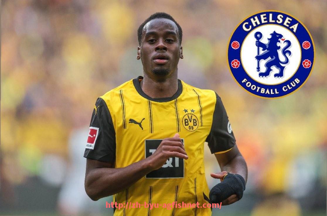 AG捕鱼王官网-中资收购德甲球队的市场潜力与影响力